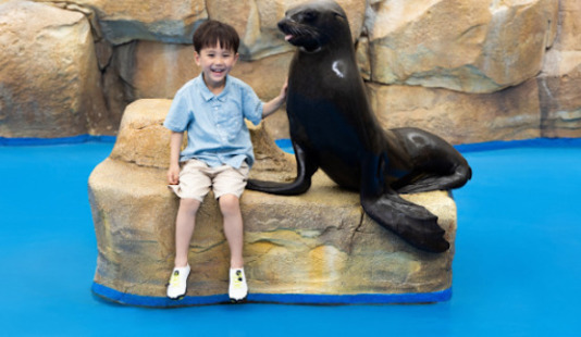 Изображение отеля