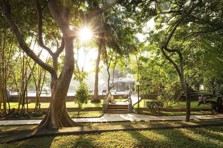 Siddhalepa Ayurveda Health Resort