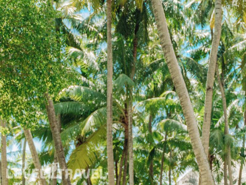 Фотография Baros Maldives (Adults Only 8+) Фотография Baros Maldives (Adults Only 8+)