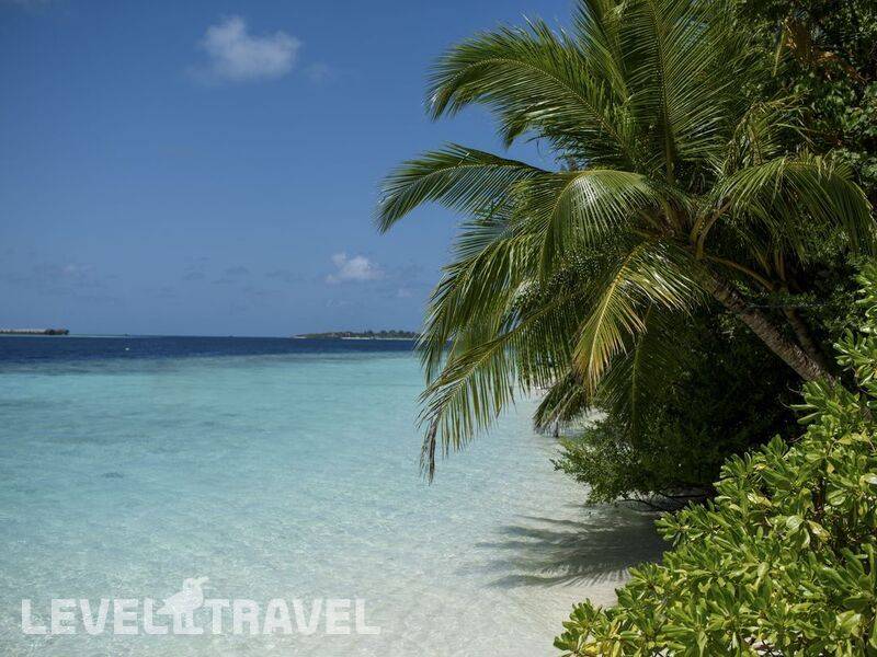 Фотография Biyadhoo Island Resort