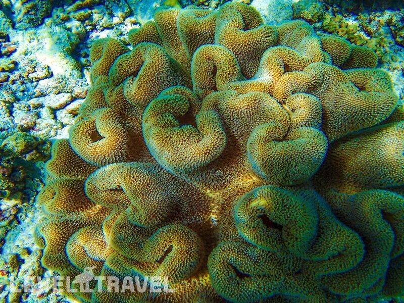 Фотография Biyadhoo Island Resort