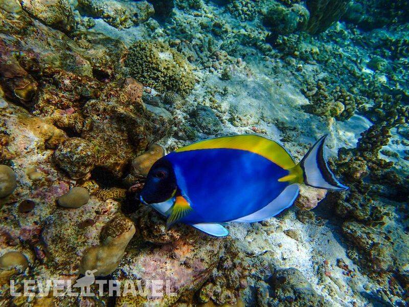 Фотография Biyadhoo Island Resort