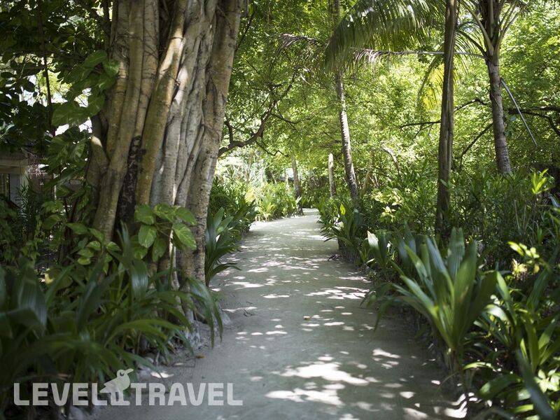 Фотография Biyadhoo Island Resort