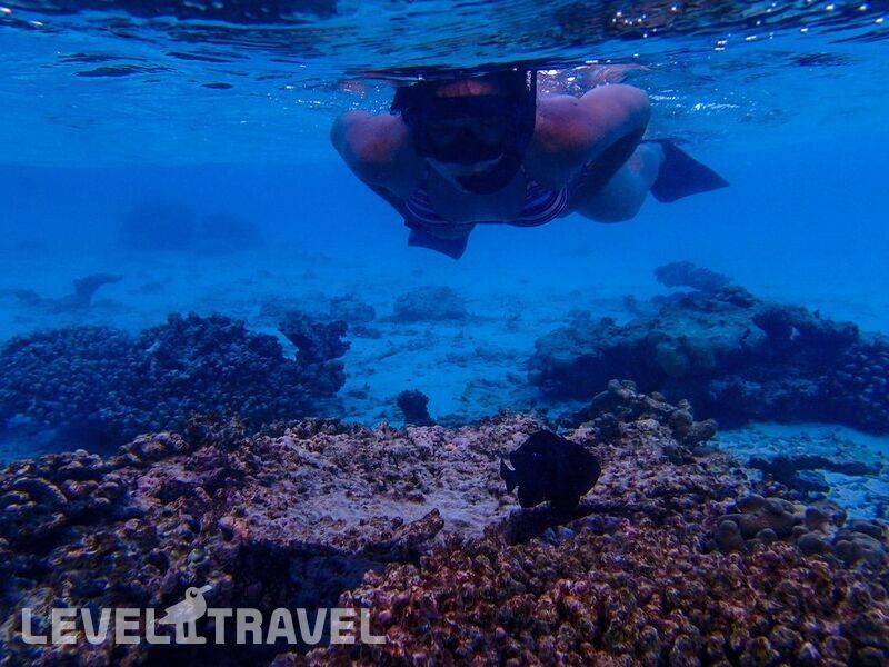 Фотография Biyadhoo Island Resort