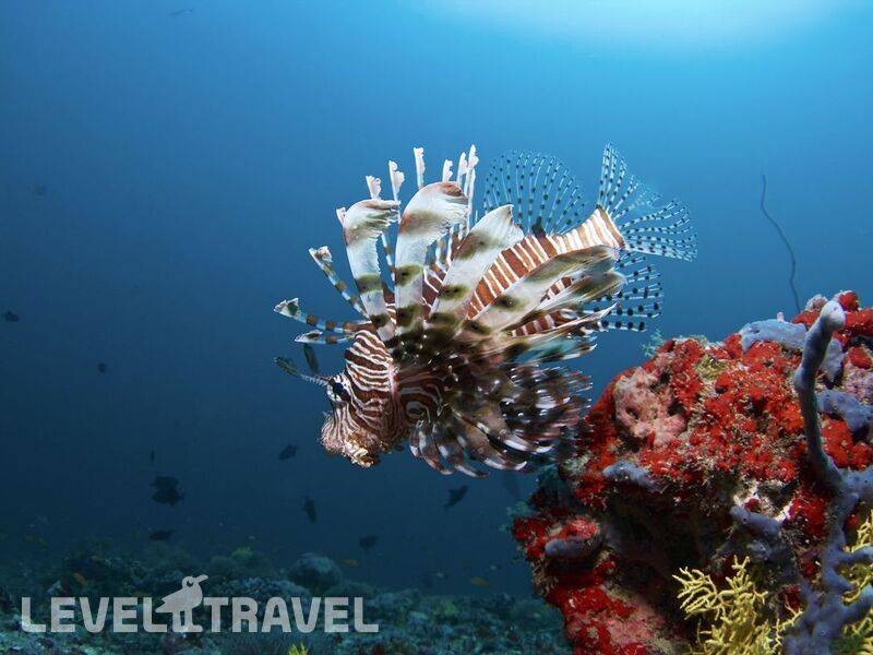 Фотография Biyadhoo Island Resort