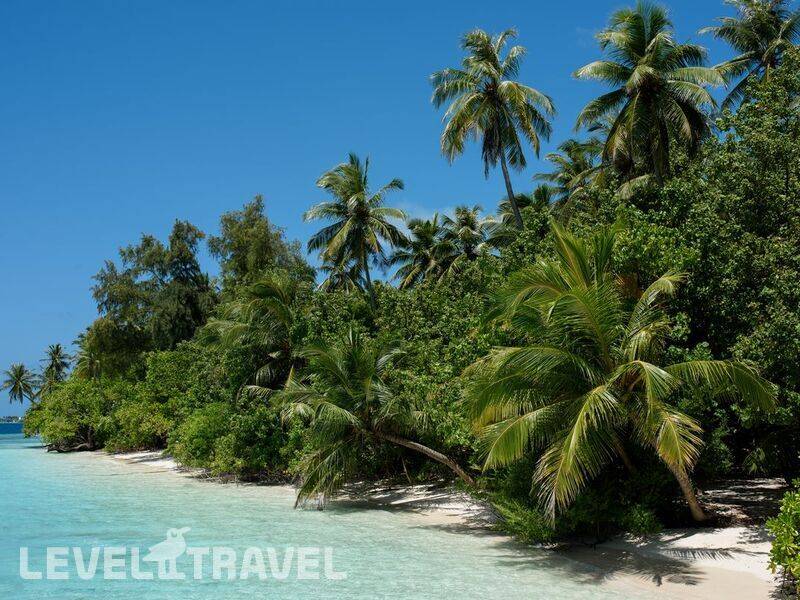 Фотография Biyadhoo Island Resort