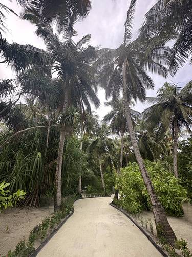 Cinnamon Hakuraa Huraa (Ex.Chaaya Lagoon)
