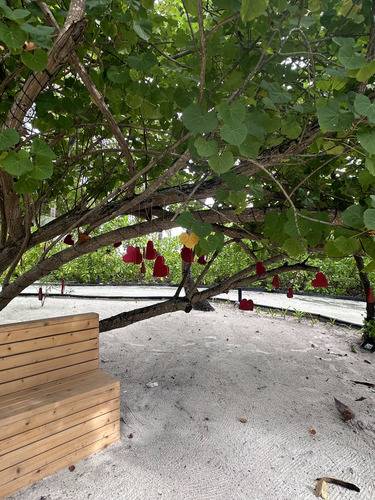 Cinnamon Hakuraa Huraa (Ex.Chaaya Lagoon)