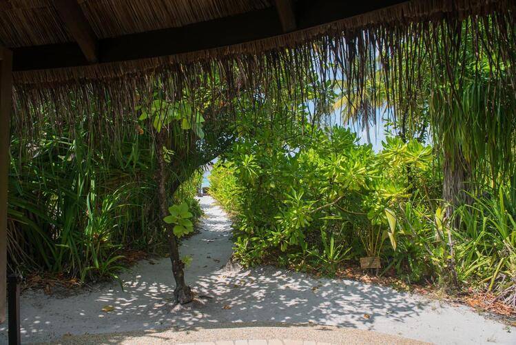 Coco Bodu Hithi (Ex. Coco Palm Bodu Hithi)