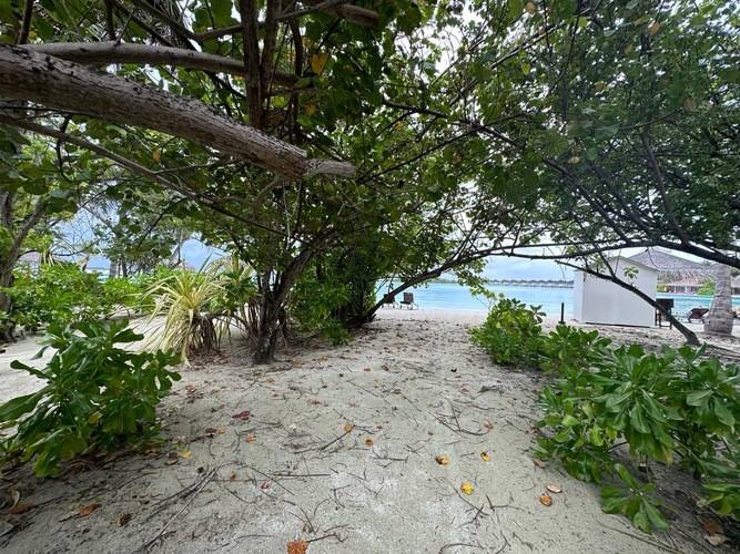 Cinnamon Dhonveli Maldives (Ex.Chaaya Island Dhonveli)