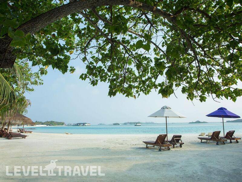 Фотография Cinnamon Dhonveli Maldives (Ex.Chaaya Island Dhonveli)