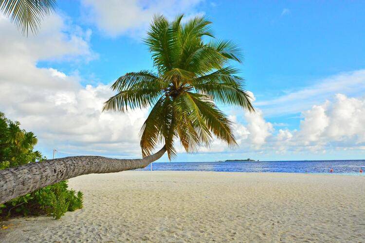 Fihalhohi Island Resort