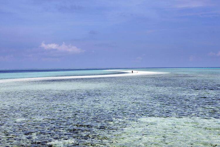 Gangehi Island Resort