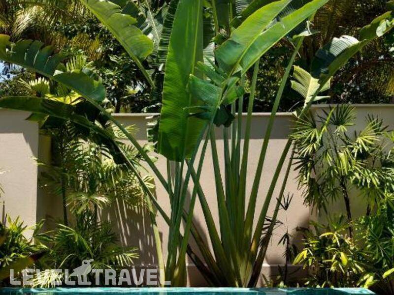 Фотография Huvafen Fushi
