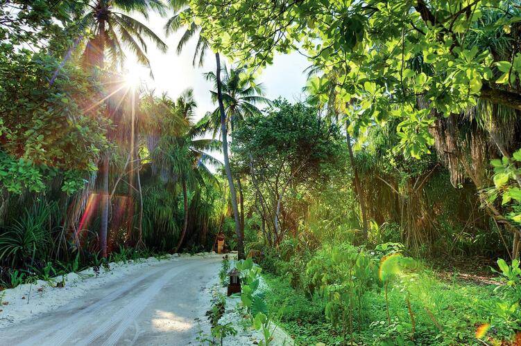 Hideaway Beach Resort & Spa (Ex. The Island Hideaway At Dhonakulhi)