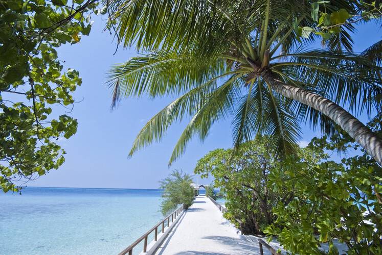 Makunudu Island Resort