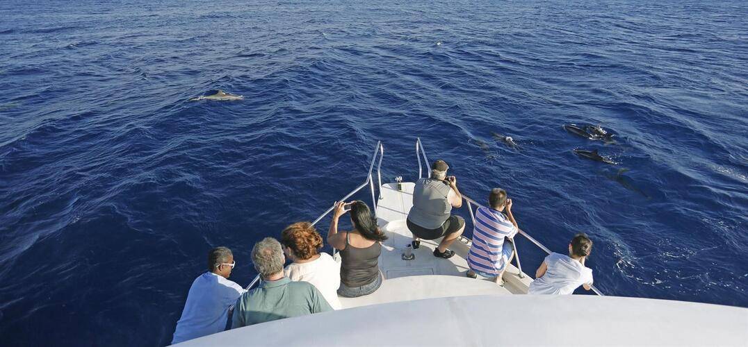 Medhufushi Island Resort