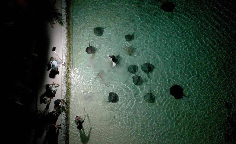 Nika Island Resort & Spa