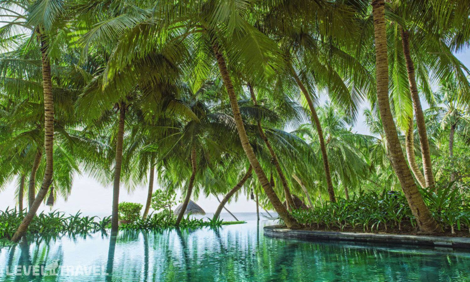 фотографии отеля One&Only Reethi Rah в Мальдивы(Северный Мале Атолл) - фото №108