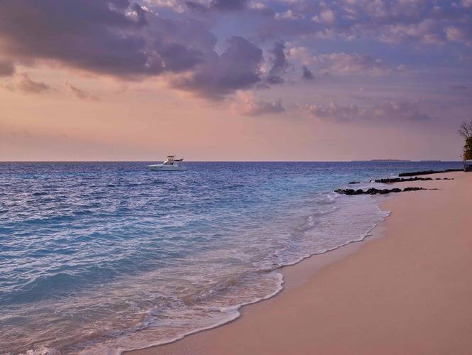 Taj Coral Reef Resort & Spa