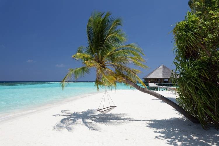 Vilamendhoo Island Resort