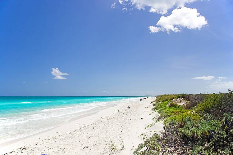 Melia Las Dunas