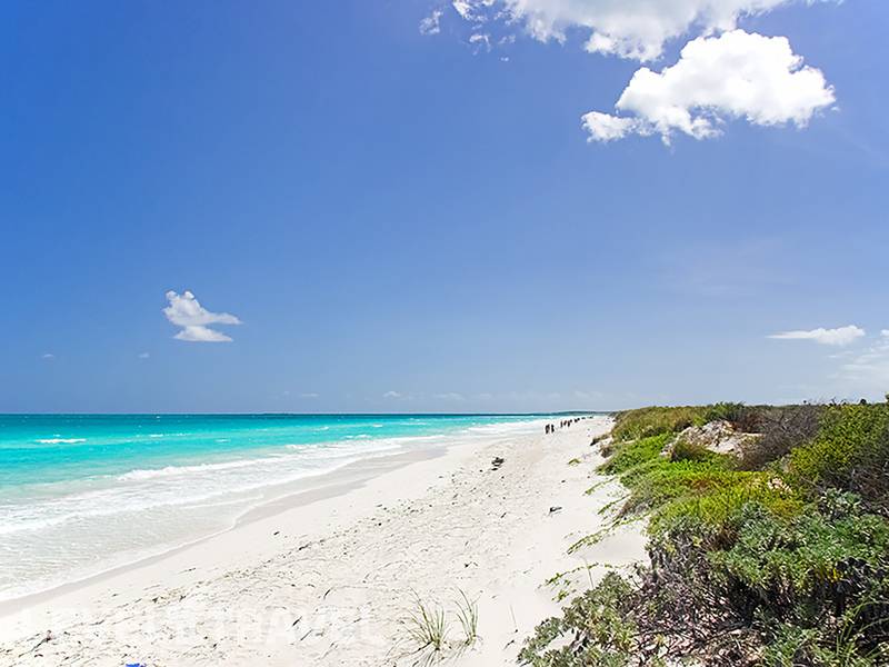 Фотография Melia Las Dunas