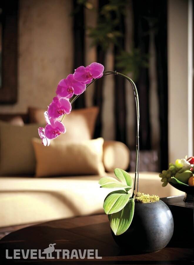 фотографии отеля Rayavadee Resort в Таиланд(Рейлей) - фото №83