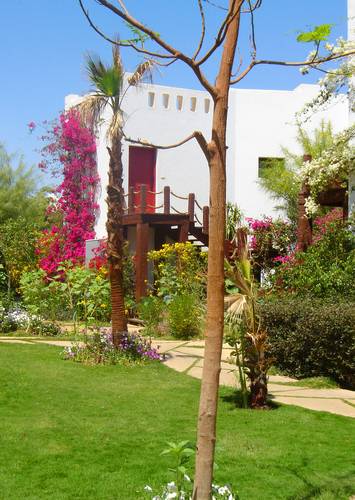 Delta Sharm Resort