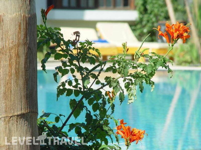Фотография Delta Sharm Resort