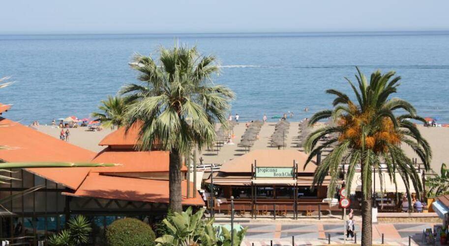 Ms Tropicana