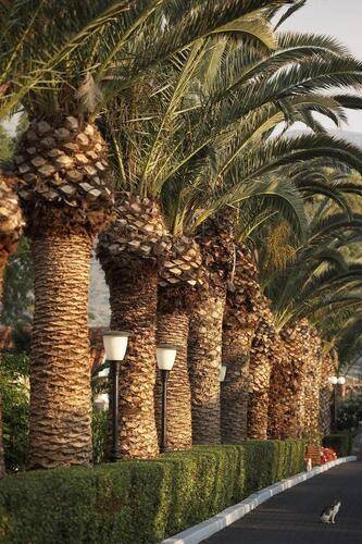 Cretan Malia Park