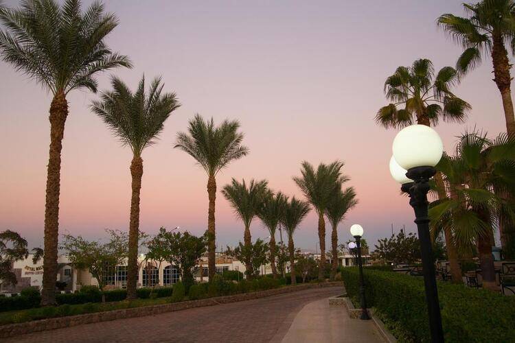 Naama Blue Hotel