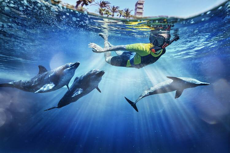 Atlantis The Palm