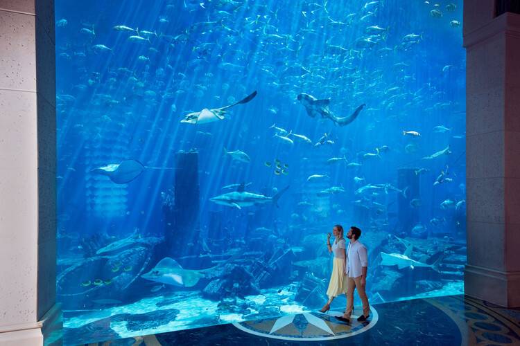 Atlantis The Palm