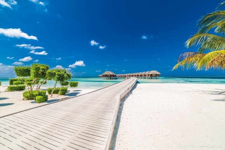 Lux South Ari Atoll (Ex. Lux Maldives)