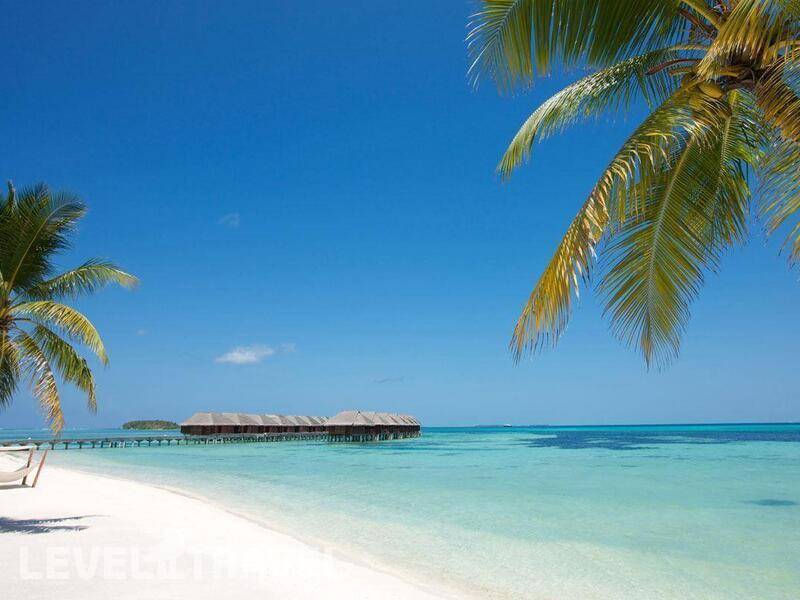 Фотография Lux South Ari Atoll (Ex. Lux Maldives)