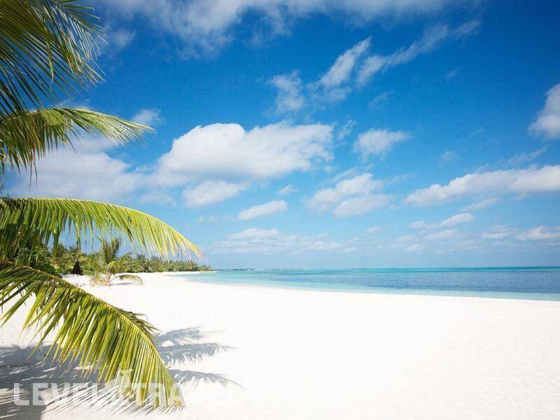 Фотография Lux South Ari Atoll (Ex. Lux Maldives)