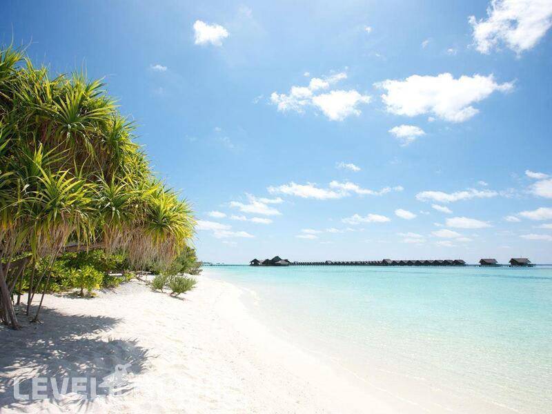Фотография Lux South Ari Atoll (Ex. Lux Maldives)