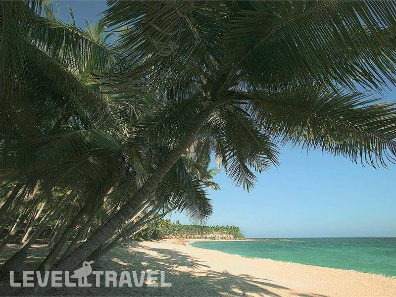 Фотография Amanwella