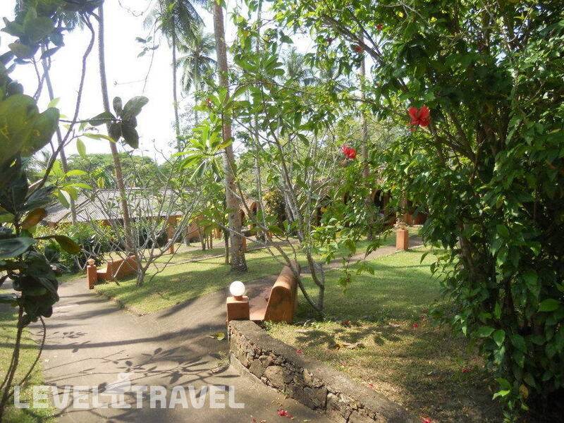 Фотография Hotel Eva Lanka