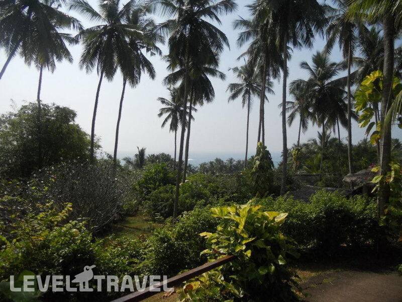 Фотография Hotel Eva Lanka