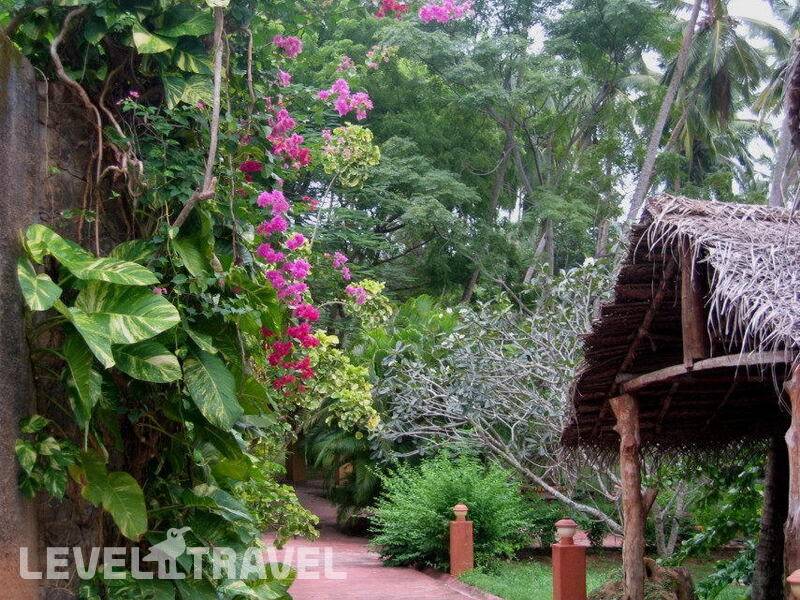 Фотография Hotel Eva Lanka
