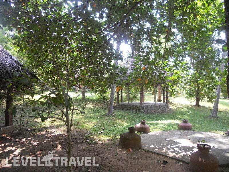 Фотография Hotel Eva Lanka