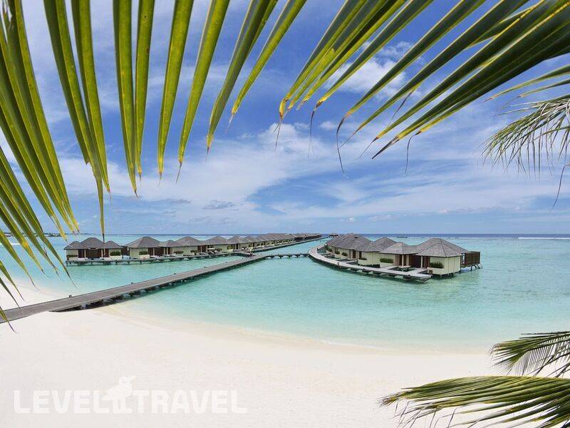 Фотография Paradise Island Resort & Spa Haven
