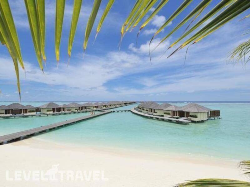 Фотография Paradise Island Resort & Spa Haven