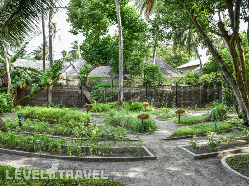 Фотография Adaaran Club Rannalhi