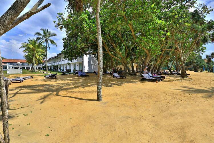 Hibiscus Beach Hotel