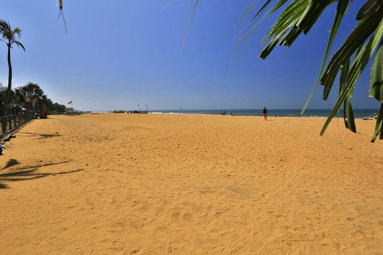 Hibiscus Beach Hotel