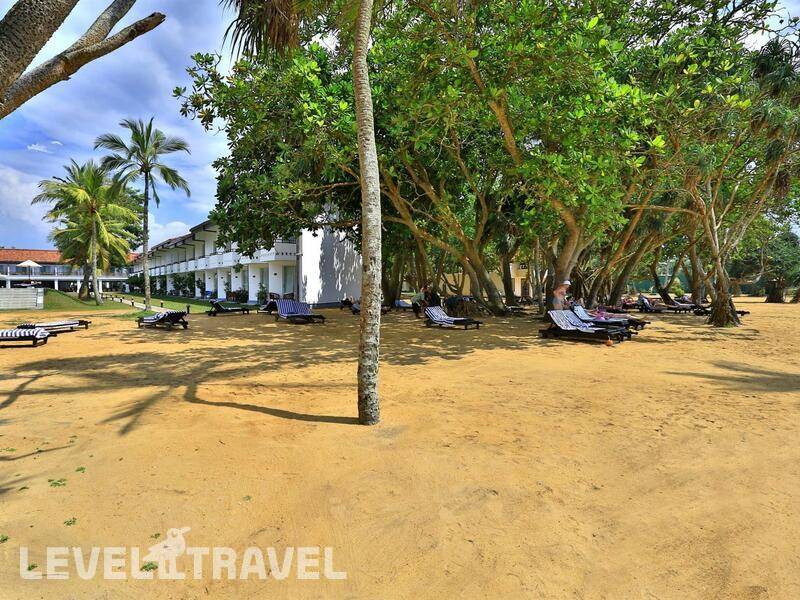Фотография Hibiscus Beach Hotel